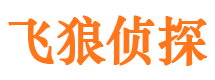 陆河市婚姻调查